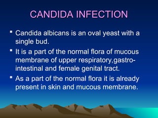 a brief presentation fungal iNFECTION.ppt