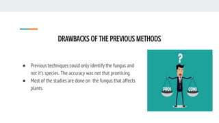DRAWBACKS OF THE PREVIOUS METHODS
● Previous techniques could only identify the fungus and
not it’s species. The accuracy was not that promising.
● Most of the studies are done on the fungus that affects
plants.
 