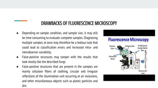 DRAWBACKS OF FLUORESCENCE MICROSCOPY
● Depending on sample condition, and sample size, it may still
be time-consuming to evaluate complete samples. Diagnosing
multiple samples at once may therefore be a tedious task that
could lead to classification errors and increased intra- and
interobserver variability.
● False-positive structures may tamper with the results that
look mostly like the described fungi.
● False-positive structures that are present in the samples are
mainly cellulose fibers of clothing, circular and irregular
reflections of the illumination unit occurring at air inclusions,
and other miscellaneous objects such as plastic particles and
dirt.
 