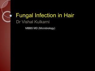 Fungal Infection in Hair
Dr Vishal Kulkarni
MBBS MD (Microbiology)
 