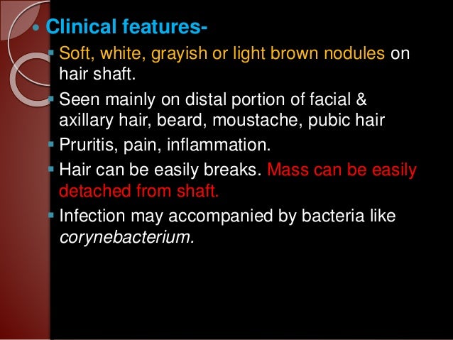 Fungal Infection In Hair