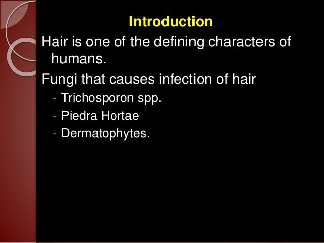 Fungal Infection In Hair