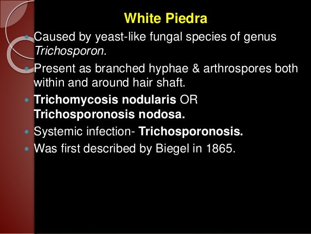 Fungal Infection In Hair