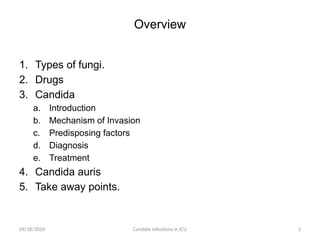 Fungal infection in Intensive care unit.pptx