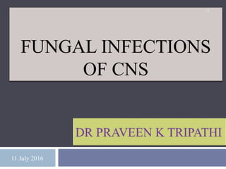 FUNGAL INFECTIONS
OF CNS
11 July 2016
1
 