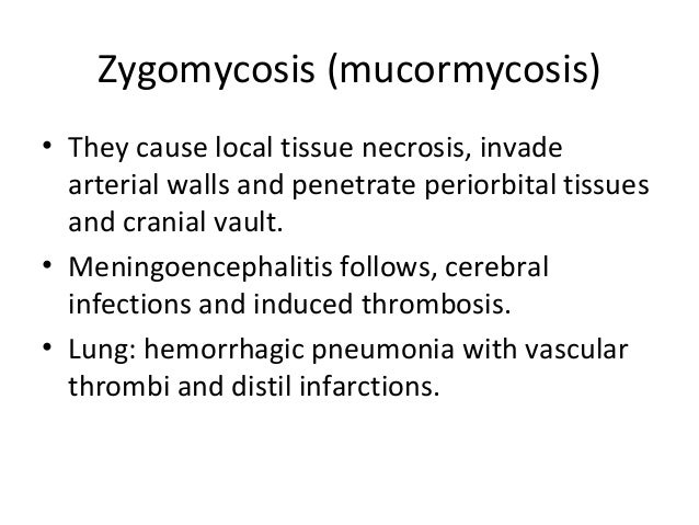 Fungal Infections In Histopathology