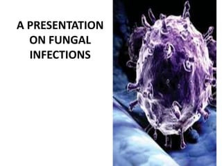 A PRESENTATION
ON FUNGAL
INFECTIONS
 