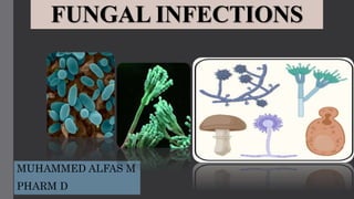 FUNGAL INFECTIONS
MUHAMMED ALFAS M
PHARM D
 