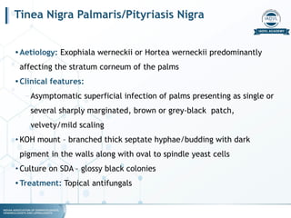 Gray Infection fungal infections for dermatology.pptx.pdf