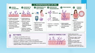 Comprehensive Overview of Fungal Infections: Diagnosis, Risk Factors ...