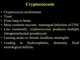 Cryptococcosis
• Cryptococcus neoformans
• Yeast
• From lung to brain.
• Most common mycotic meningeal infection of CNS
• Less commonly, cryptococcosis produces multiple
  intraparenchymal pseudocysts
• Causing acute or chronic insidious meningitis
• Leading to hydrocephalus, dementia, focal
  neurological deficits.
 