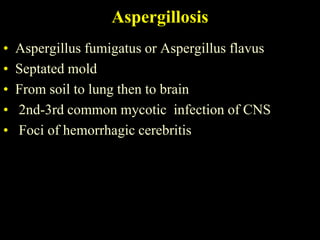 Aspergillosis
•   Aspergillus fumigatus or Aspergillus flavus
•   Septated mold
•   From soil to lung then to brain
•   2nd-3rd common mycotic infection of CNS
•   Foci of hemorrhagic cerebritis
 