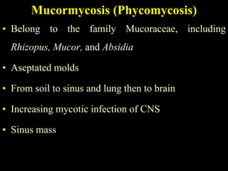 Mucormycosis (Phycomycosis)
• Belong to the family Mucoraceae, including
  Rhizopus, Mucor, and Absidia

• Aseptated molds

• From soil to sinus and lung then to brain

• Increasing mycotic infection of CNS

• Sinus mass
 