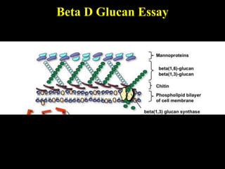 Beta D Glucan Essay
 