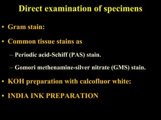 Direct examination of specimens

• Gram stain:

• Common tissue stains as
  – Periodic acid-Schiff (PAS) stain.

  – Gomori methenamine-silver nitrate (GMS) stain.

• KOH preparation with calcofluor white:

• INDIA INK PREPARATION
 