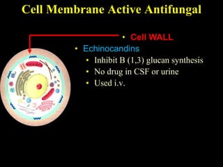 Cell Membrane Active Antifungal

                     • Cell WALL
         • Echinocandins
           • Inhibit B (1,3) glucan synthesis
           • No drug in CSF or urine
           • Used i.v.
 