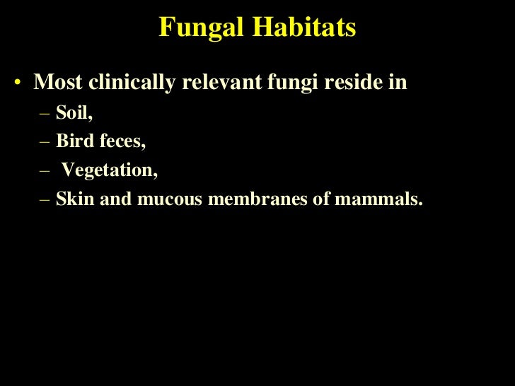 Fungal Infections12