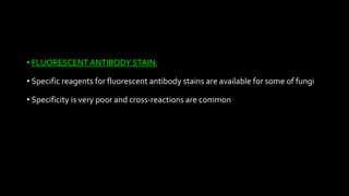• FLUORESCENT ANTIBODY STAIN:
• Specific reagents for fluorescent antibody stains are available for some of fungi
• Specificity is very poor and cross-reactions are common
 
