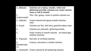 C. Albicans Colonies are creamy, smooth, white and
glistering and older colonies are cream colored
waxy or soft & smooth
C.
Guillermondii
Thin, flat, glossy, cream to pinkish colonies are
C. Glabrata Cream colored soft glossy smooth colonies.
cells.
C. Krusei Colonies are flat, dull dirty, greenish yellow color.
C. Colonies are yellowish, glistering smooth.
C. Small creamy & smooth colonies (on blood agar –
stellate colonies)
C. Tropicalis Dull soft, & wrinkled colonies.
C.
Pseudotropic
lis
Creamy, reticulate or smooth colonies.
C. Viswanathi Cream colored & soft glistering colonies
 