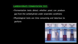 CARBOHYDRATE FERMENTATION TEST:
• Fermentation tests detect whether yeast can produce
gas from the carbohydrate under anaerobic conditions
• Physiological tests are time consuming and laborious to
perform
 