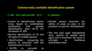 Commercially available identification system
• I. API – 20 C AUX and API – 32 C :
• Consist of identification plastic
strips based on carbohydrate
assimilation that provide
identification after 24-72 hrs
incubation at 300C
• Permits identification of 24 and
38 types of Candida species
• Identification - comparing the
pattern of reactions with the
manufacturer’s charts
• 96-99% as accurate as
• II. Minitek :
• Minitek system examines the
ability of yeast to grow in the
presence of specific carbohydrates
• The test uses sugar impregnated
discs, placed on seeded basal
agars and is therefore the same in
principle as traditional
assimilation tests
 