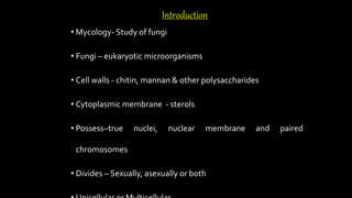 Introduction
• Mycology- Study of fungi
• Fungi – eukaryotic microorganisms
• Cell walls - chitin, mannan & other polysaccharides
• Cytoplasmic membrane - sterols
• Possess–true nuclei, nuclear membrane and paired
chromosomes
• Divides – Sexually, asexually or both
 