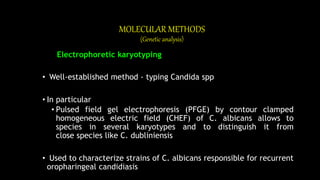 MOLECULAR METHODS
(Genetic analysis)
Electrophoretic karyotyping
• Well-established method - typing Candida spp
• In particular
• Pulsed field gel electrophoresis (PFGE) by contour clamped
homogeneous electric field (CHEF) of C. albicans allows to
species in several karyotypes and to distinguish it from
close species like C. dubliniensis
• Used to characterize strains of C. albicans responsible for recurrent
oropharingeal candidiasis
 