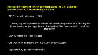 Restriction fragment length polymorphisms (RFLPs) using gel
electrophoresis or DNA-DNA hybridisation
• RFLP - based - digestion - DNA
Every organism possesses unique nucleotide sequences that distinguish
it from every other organism on the basis of the number and size of the
fragments
• DNA is extracted from isolates
• Cleaved into fragments by restriction endonucleases
• separated by gel electrophoresis
 