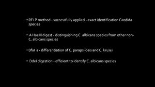 • RFLP method - successfully applied - exact identification Candida
species
• A HaeIII digest - distinguishing C. albicans species from other non-
C. albicans species
• BfaI is - differentiation of C. parapsilosis and C. krusei
• DdeI digestion - efficient to identify C. albicans species
 