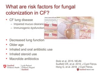 Fungal infections in CF.pptx