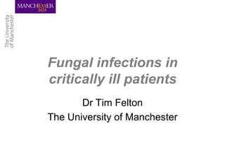Fungal infections in
critically ill patients
       Dr Tim Felton
The University of Manchester
 
