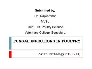 FUNGAL INFECTIONS IN POULTRY
Avian Pathology 610 (2+1)
Submitted by,
Dr. Rajwardhan
MVSc
Dept. Of Poultry Science
Veterianary College, Bengaluru.
 