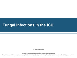 Fungal infections in the ICU | PPTX