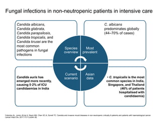 Fungal infections in the ICU | PPTX