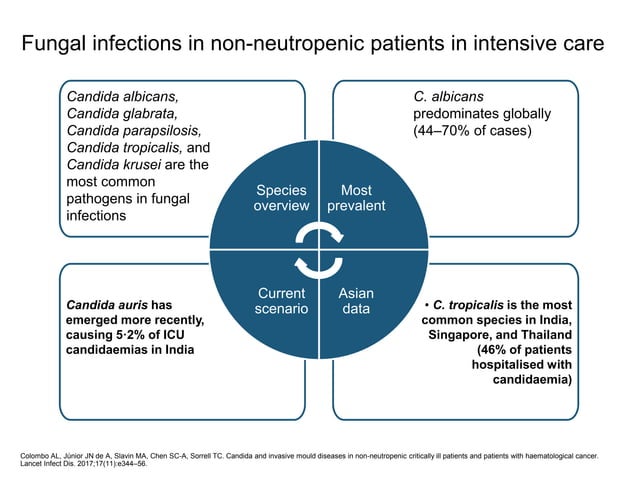 Fungal infections in the ICU | PPTX