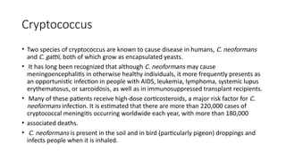 Comprehensive Overview of Fungal Infections: Pathogenesis, Diagnosis ...