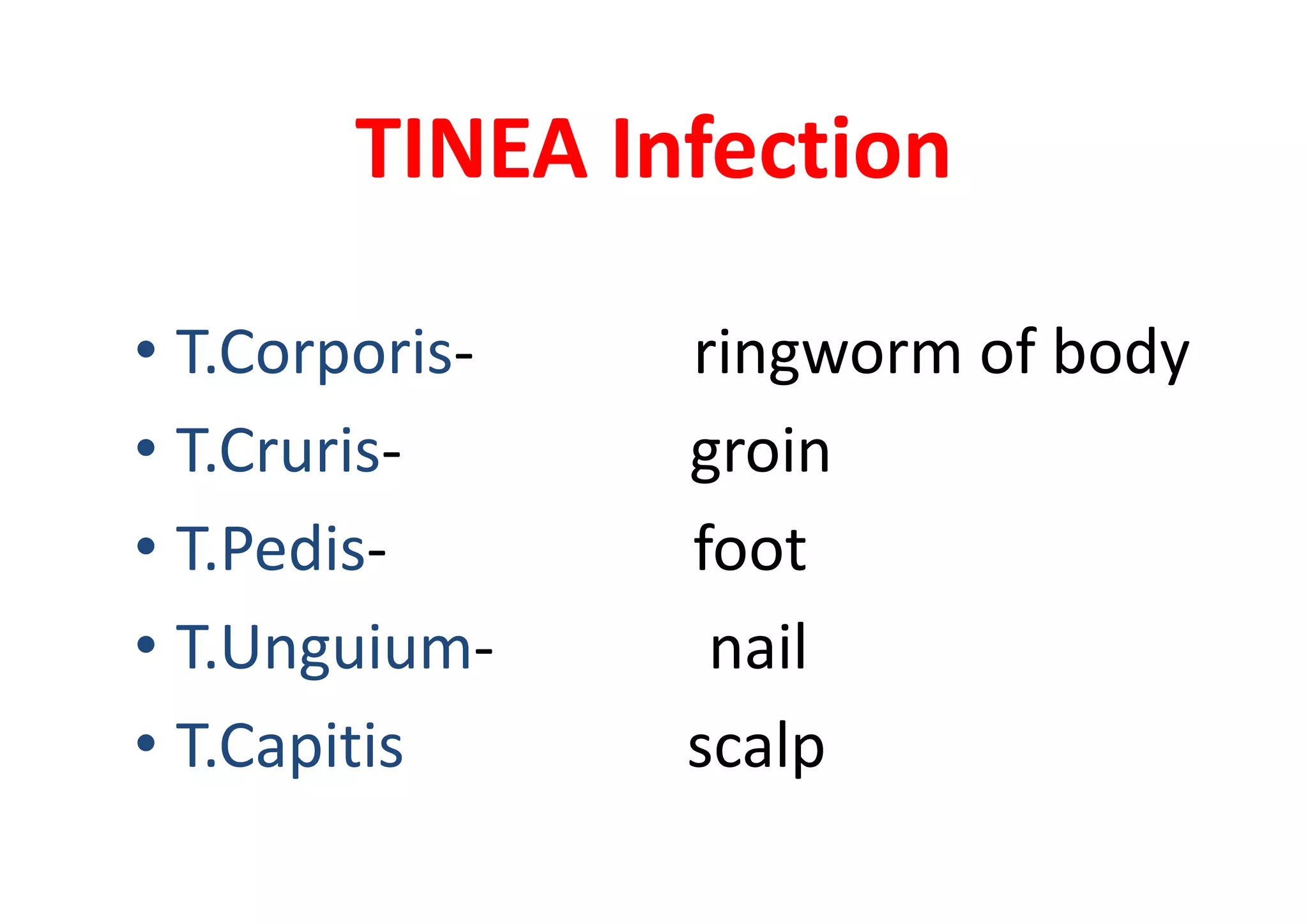 TINEA Infection

• T.Corporis-   ringworm of body
• T.Cruris-     groin
• T.Pedis-      foot
• T.Unguium-     nail
• T.Capitis     scalp
 