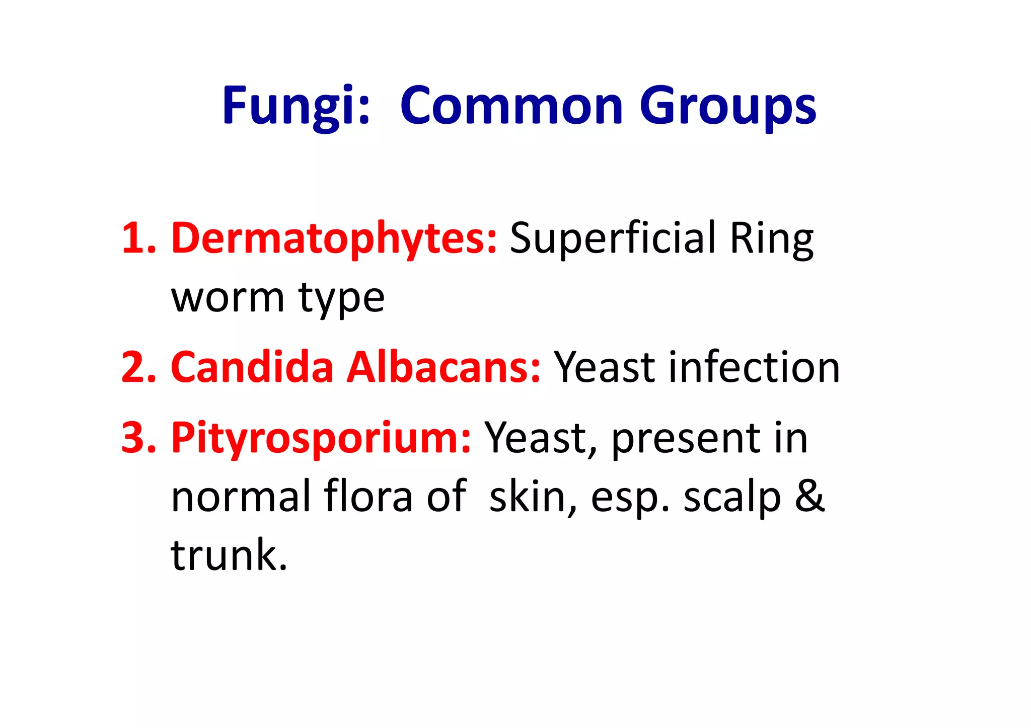 Fungi: Common Groups

1. Dermatophytes: Superficial Ring
   worm type
2. Candida Albacans: Yeast infection
3. Pityrosporium: Yeast, present in
   normal flora of skin, esp. scalp &
   trunk.
 