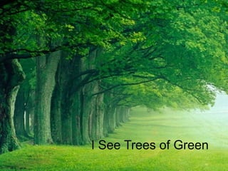 I See Trees of Green

 