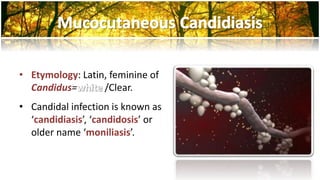 Fungal infections part III