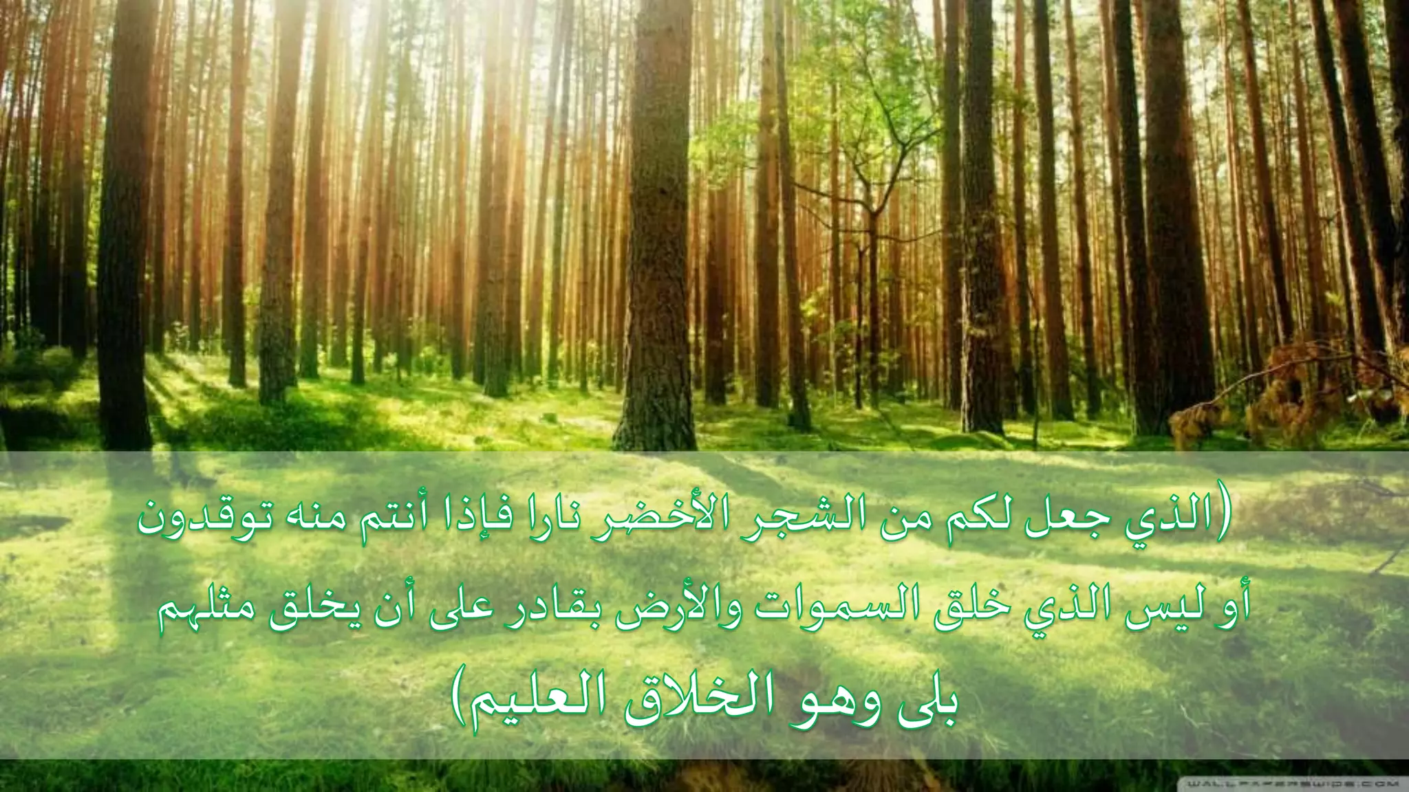 Fungal infections part III | PPT