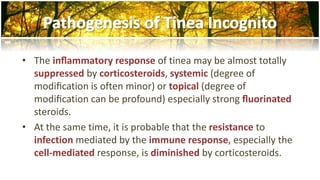 • The inflammatory response of tinea may be almost totally 
suppressed by corticosteroids, systemic (degree of 
modification is often minor) or topical (degree of 
modification can be profound) especially strong fluorinated 
steroids. 
• At the same time, it is probable that the resistance to 
infection mediated by the immune response, especially the 
cell-mediated response, is diminished by corticosteroids. 
 