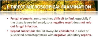 • Fungal elements are sometimes difficult to find, especially if 
the tissue is very inflamed, so a negative result does not rule 
out fungal infection. 
• Repeat collections should always be considered in cases of 
suspected dermatophytosis with negative laboratory reports. 
 
