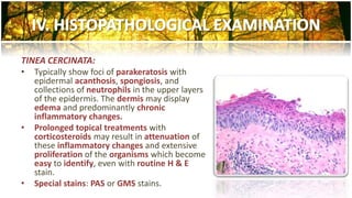 TINEA CERCINATA: 
• Typically show foci of parakeratosis with 
epidermal acanthosis, spongiosis, and 
collections of neutrophils in the upper layers 
of the epidermis. The dermis may display 
edema and predominantly chronic 
inflammatory changes. 
• Prolonged topical treatments with 
corticosteroids may result in attenuation of 
these inflammatory changes and extensive 
proliferation of the organisms which become 
easy to identify, even with routine H & E 
stain. 
• Special stains: PAS or GMS stains. 
 