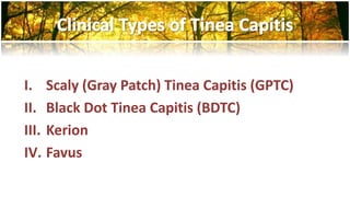 I. Scaly (Gray Patch) Tinea Capitis (GPTC) 
II. Black Dot Tinea Capitis (BDTC) 
III. Kerion 
IV. Favus 
 