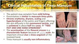 • The patient may complain from mild itching. 
• Presentation is similar to moccasin tinea pedis. 
• Chronic erythema, dryness, scaling and 
hyperkeratosis of the palms and fingers affecting 
the skin diffusely is the commonest variety, and 
is unilateral in about half the cases  “TWO 
FEET AND ONE HAND SYNDROME”. 
• The accentuation of the flexural creases is a 
characteristic feature because of scale. An 
important clinical clue is tinea unguium of the 
involved hand. 
• Tinea manuum is usually non-inflammatory. 
 