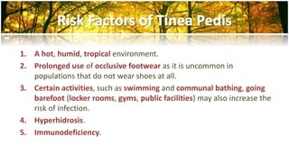 1. A hot, humid, tropical environment. 
2. Prolonged use of occlusive footwear as it is uncommon in 
populations that do not wear shoes at all. 
3. Certain activities, such as swimming and communal bathing, going 
barefoot (locker rooms, gyms, public facilities) may also increase the 
risk of infection. 
4. Hyperhidrosis. 
5. Immunodeficiency. 
 