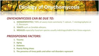 ONYCHOMYCOSIS CAN BE DUE TO: 
1. DERMATOPHYTES (~90% of cases) most commonly T. rubrum, T. mentagrophytes or 
E. floccosum. 
2. YEASTS such as Candida albicans. 
3. MOULDS especially Fusarium species usually indistinguishable from tinea unguium. 
PREDISPOSING FACTORS: 
1. Trauma 
2. Aging 
3. Diabetes 
4. Poorly fitting shoes 
5. The presence of tinea pedis and other nail disorders represent 
 