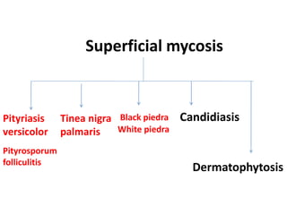 Superficial mycosis
Pityriasis
versicolor
Pityrosporum
folliculitis
Tinea nigra
palmaris
Black piedra
White piedra
Dermatophytosis
Candidiasis
 