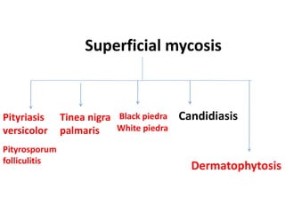 Superficial mycosis
Pityriasis
versicolor
Pityrosporum
folliculitis
Tinea nigra
palmaris
Black piedra
White piedra
Dermatophytosis
Candidiasis
 